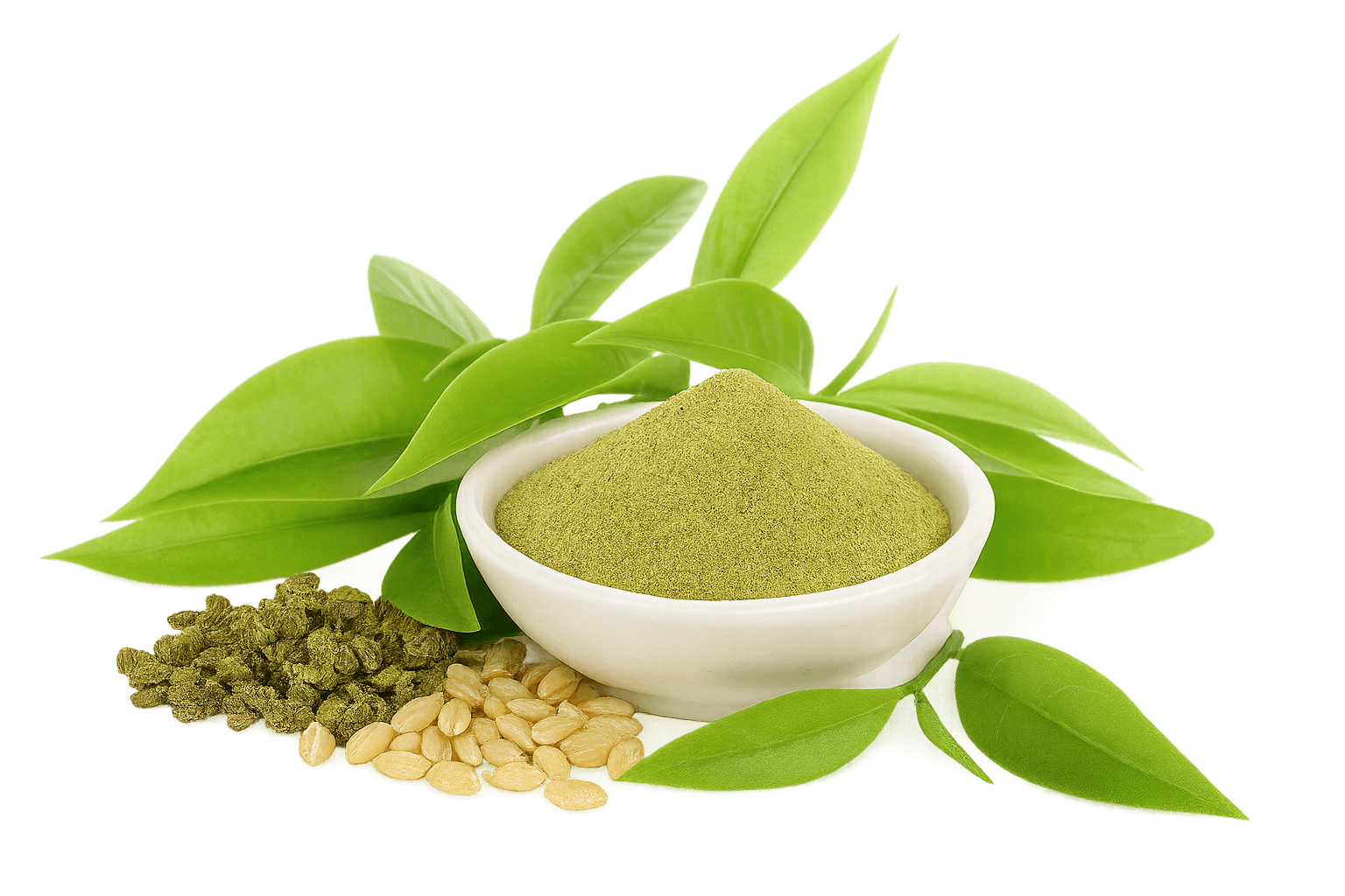 Barley leaves and powder
